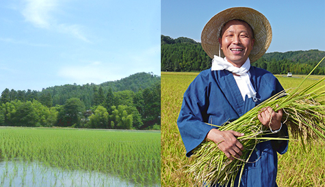 微生物自然農法の米作り